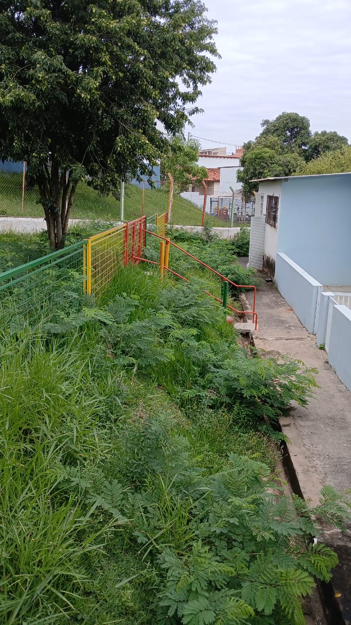 Imagem 1 da denúncia #VS-2026-52937
