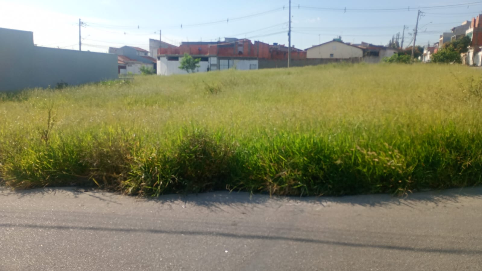 Imagem 1 da denúncia #VS-2026-53078