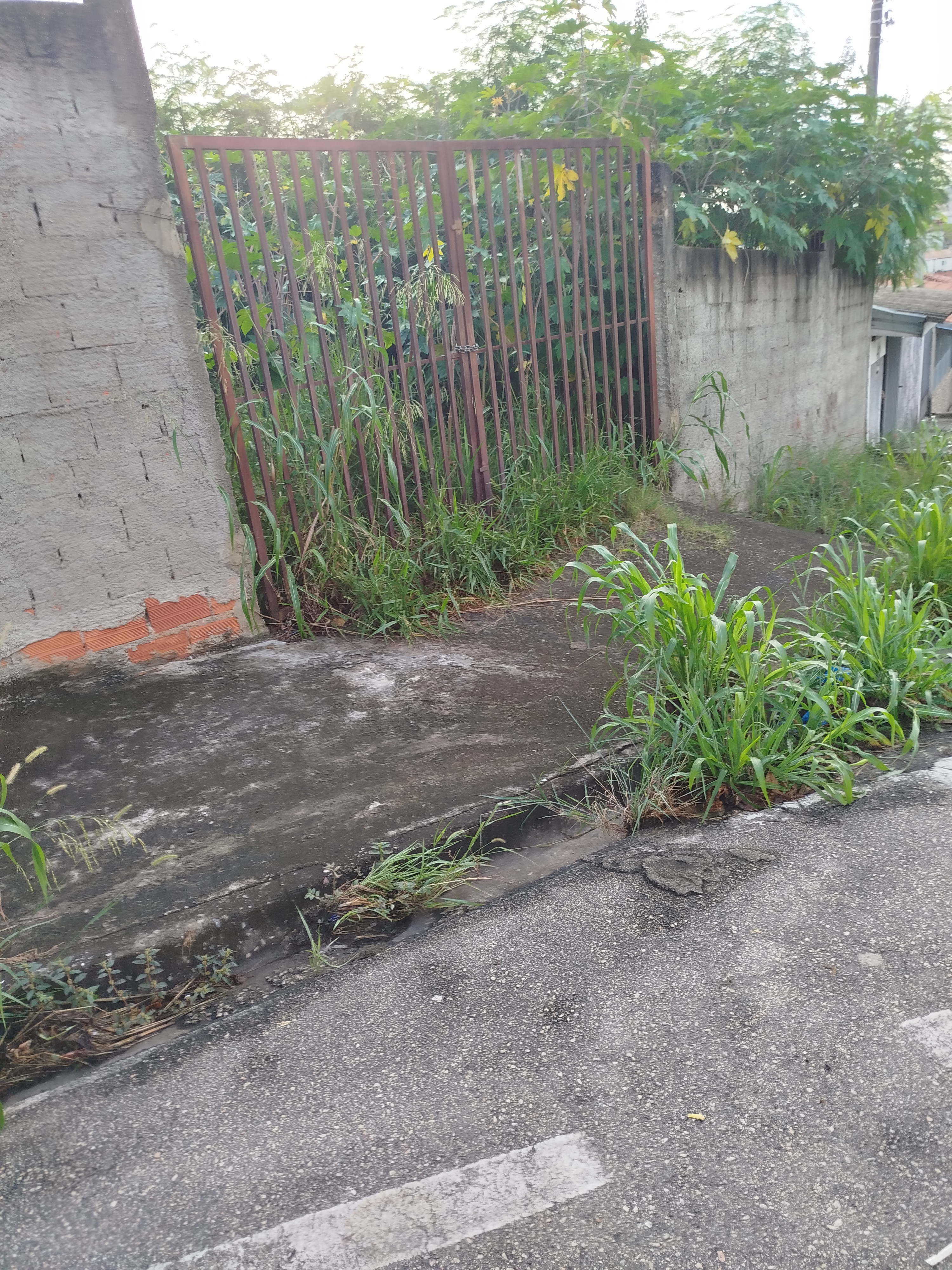 Imagem 4 da denúncia #VS-2026-53436