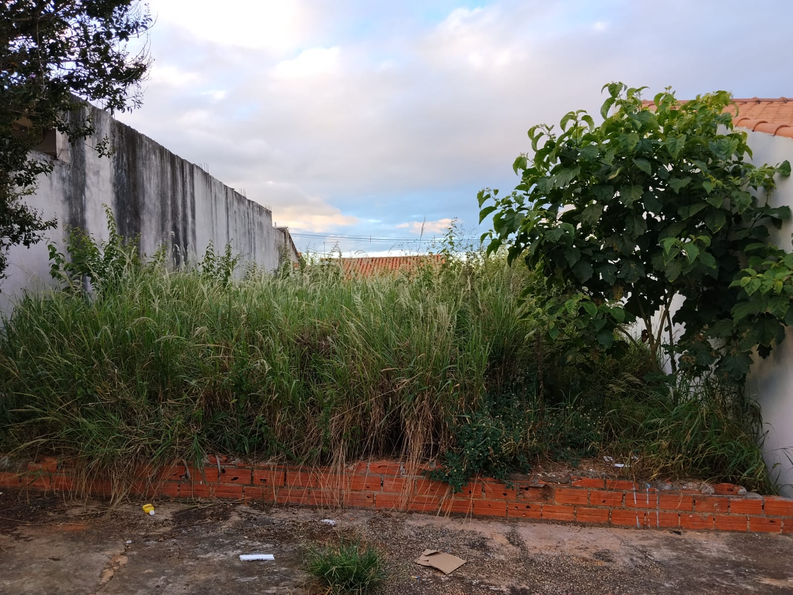 Imagem 1 da denúncia #VS-2026-53847