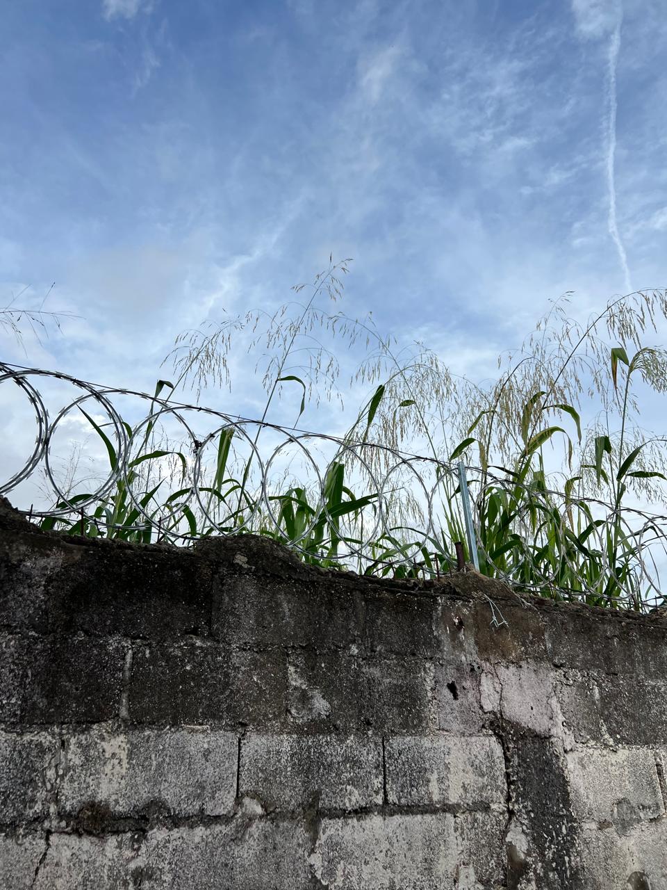 Imagem 1 da denúncia #VS-2026-54188