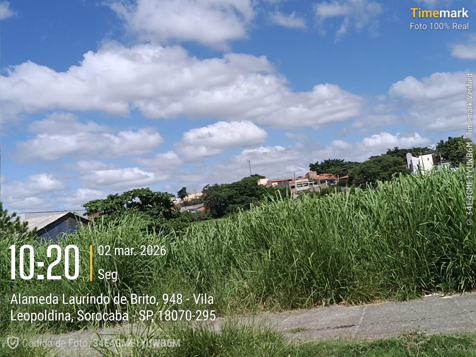 Imagem 2 da denúncia #VS-2026-54527