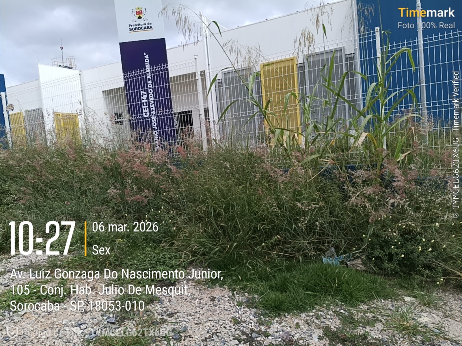 Imagem 2 da denúncia #VS-2026-54787