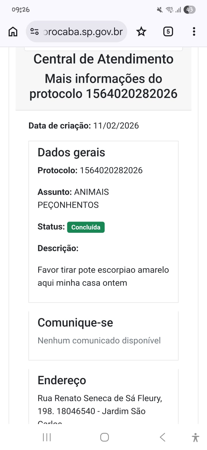 Imagem 2 da denúncia #VS-2026-55032
