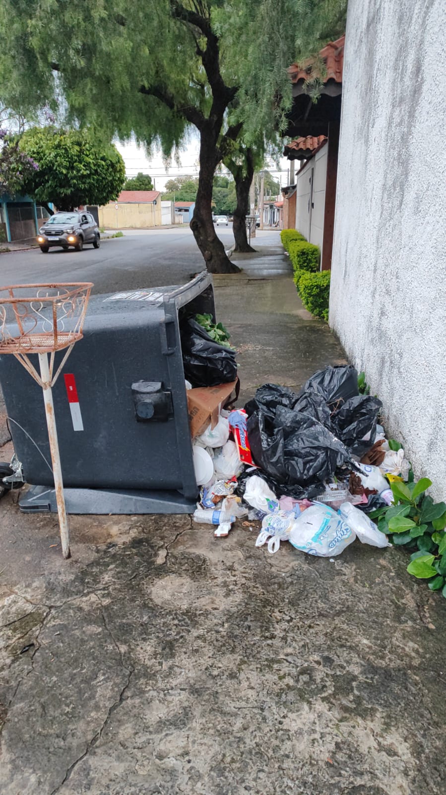 Imagem 1 da denúncia #VS-2026-55485