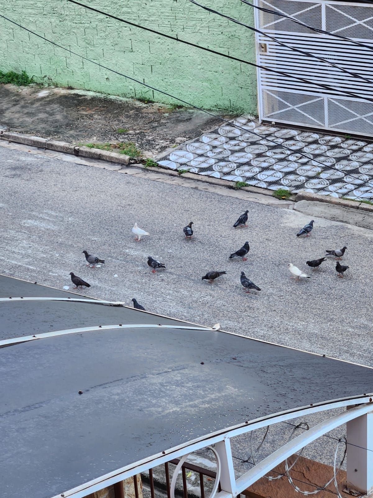 Imagem 3 da denúncia #VS-2026-55951