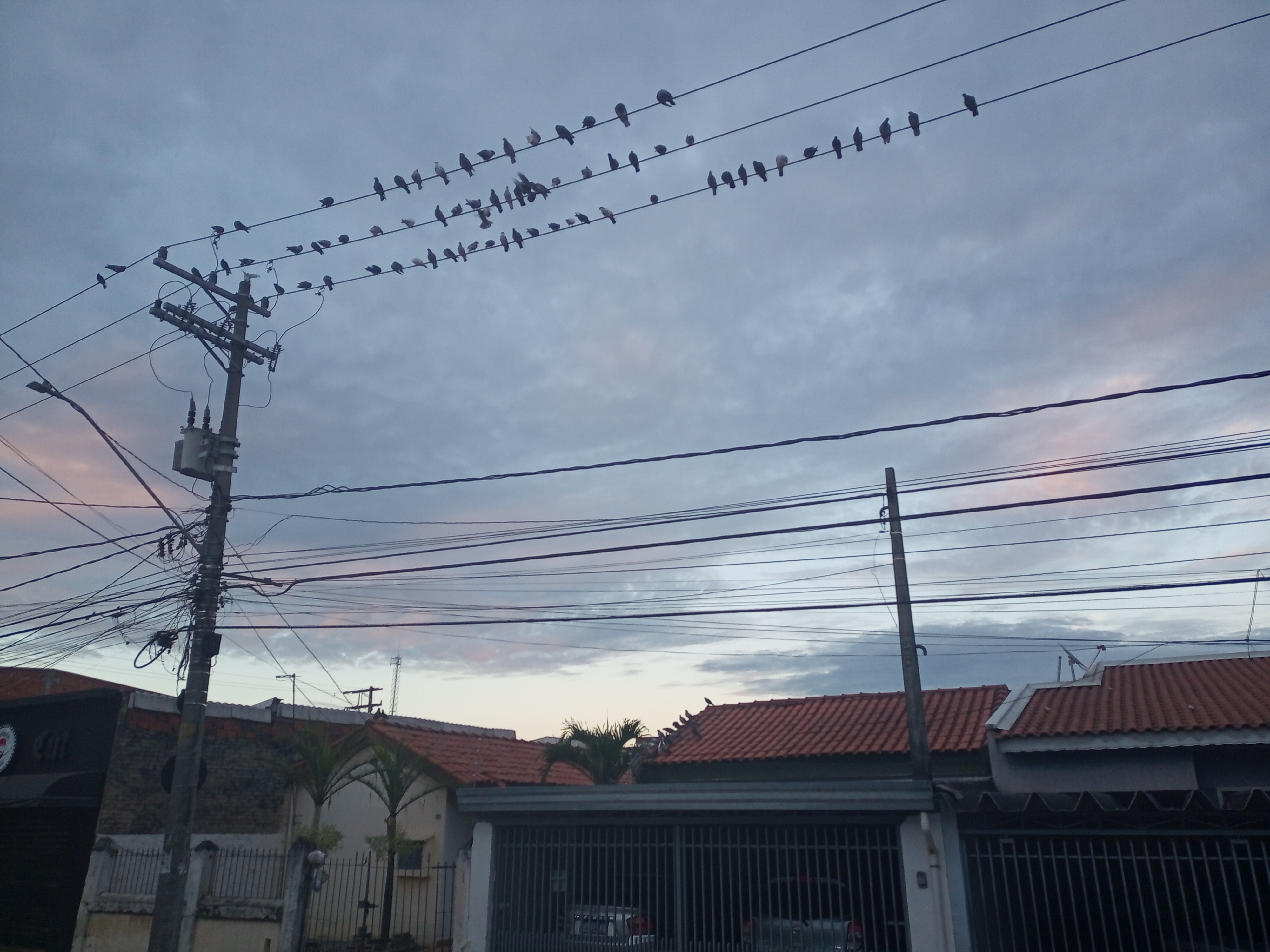 Imagem 1 da denúncia #VS-2026-56036
