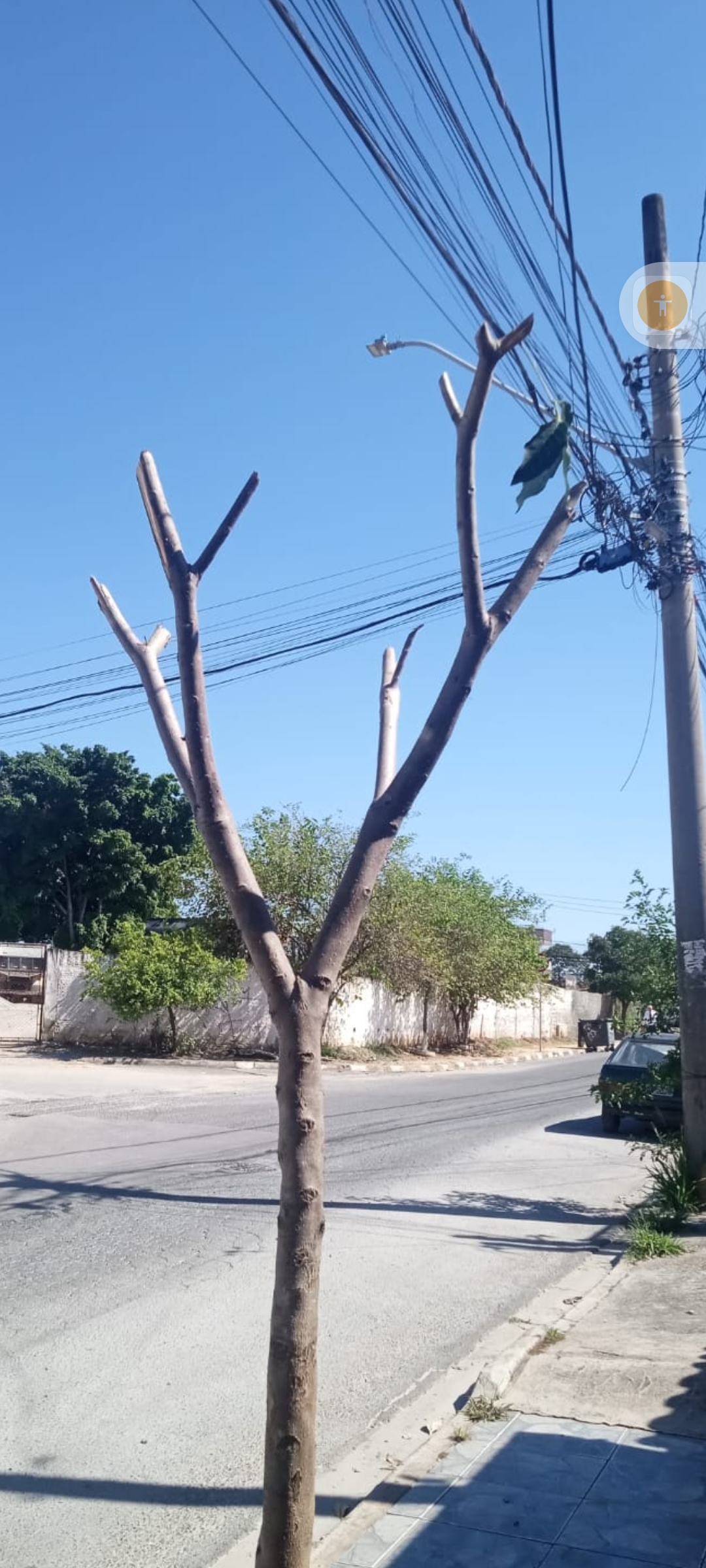 Imagem 1 da denúncia #VS-2026-56094