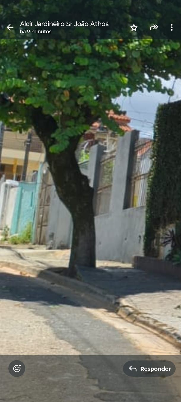 Imagem 1 da denúncia #VS-2026-56278