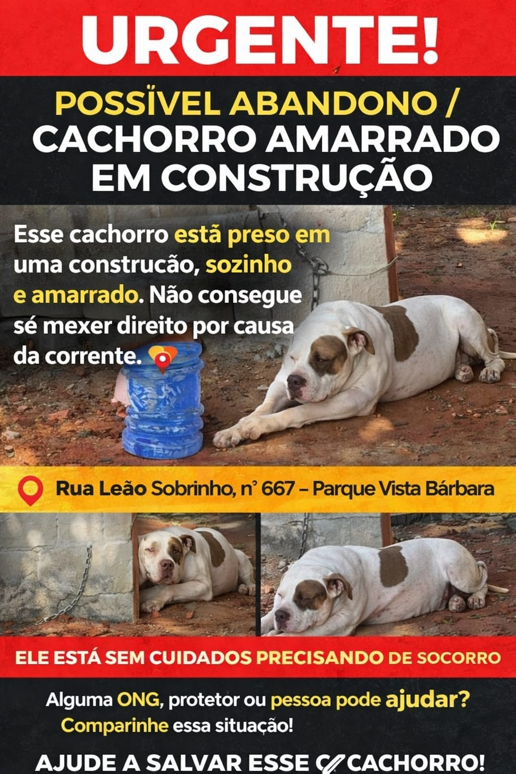 Imagem 1 da denúncia #VS-2026-56637