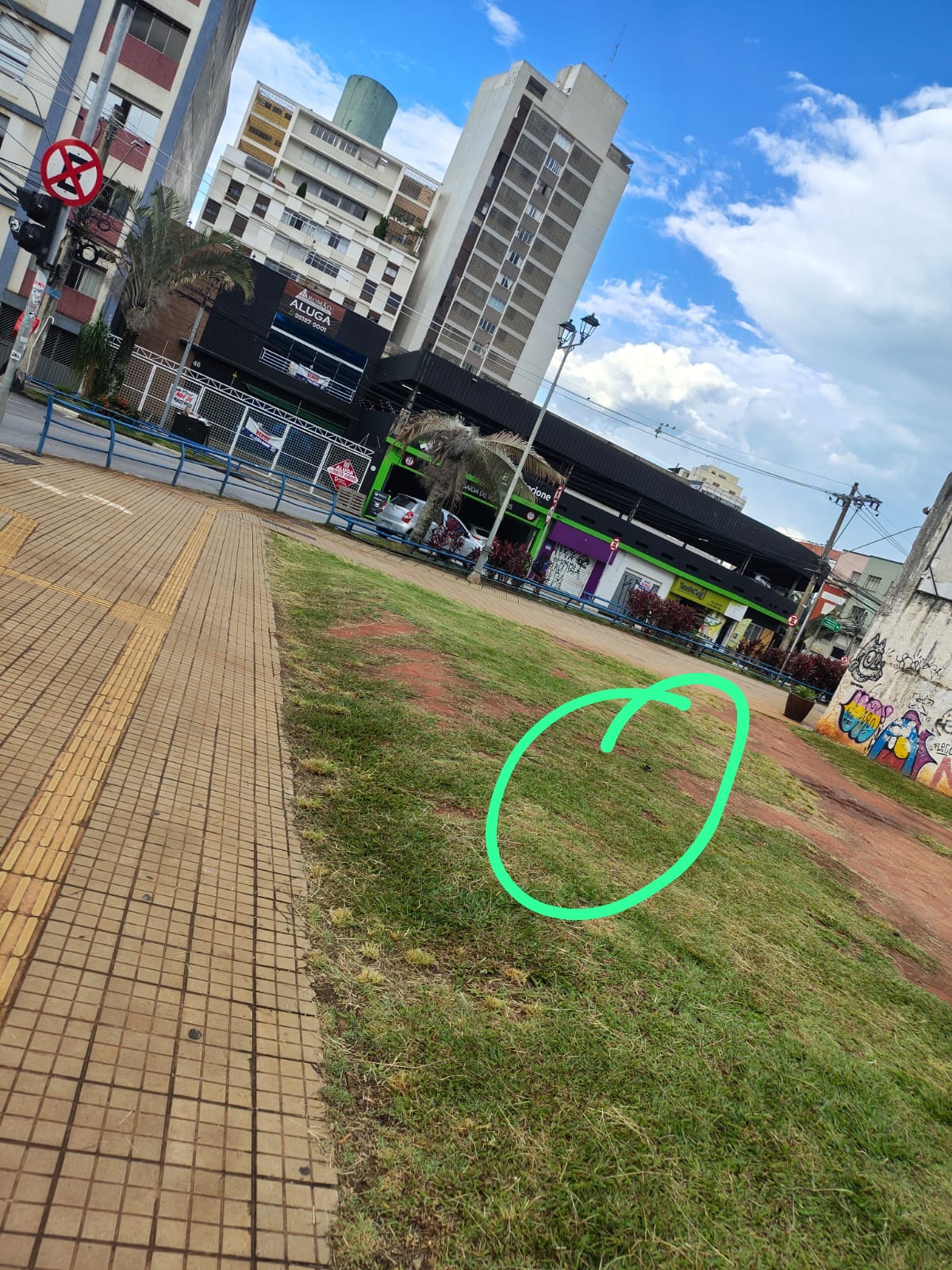 Imagem 1 da denúncia #VS-2026-58124