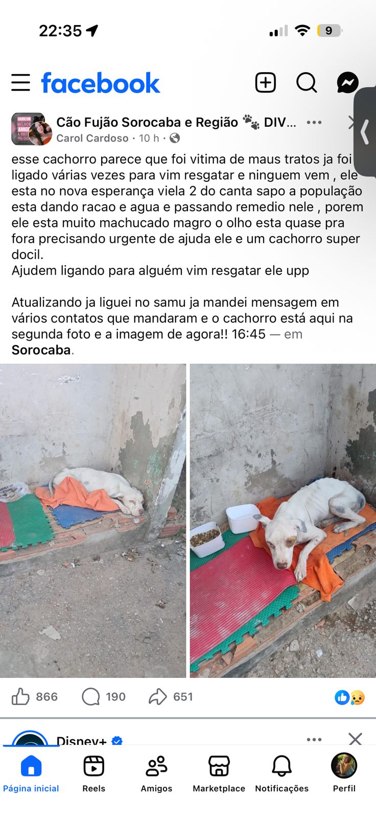 Imagem 1 da denúncia #VS-2026-58434