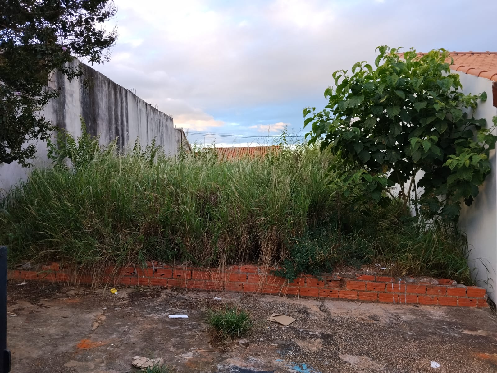 Imagem 1 da denúncia #VS-2026-58505