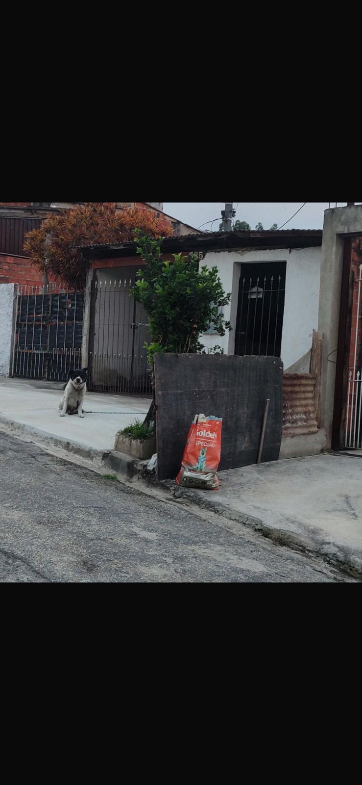 Imagem 1 da denúncia #VS-2026-58770