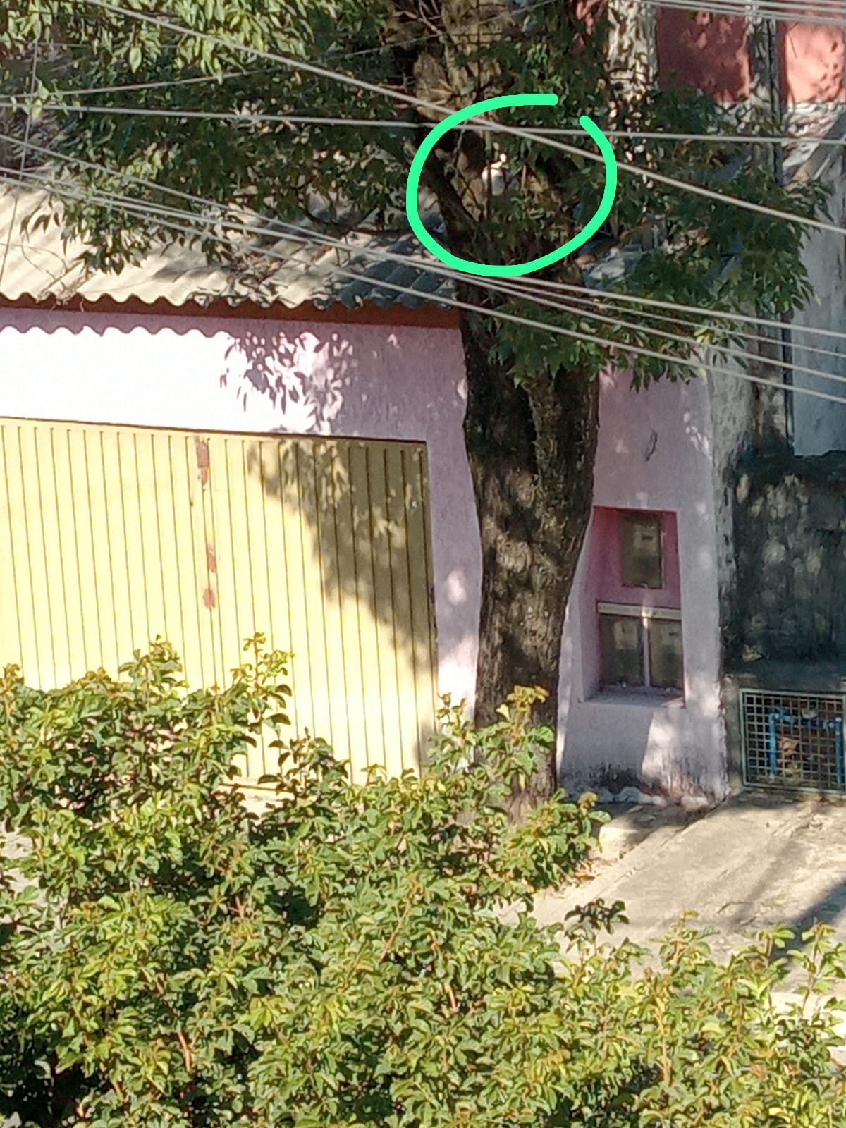 Imagem 1 da denúncia #VS-2026-59323