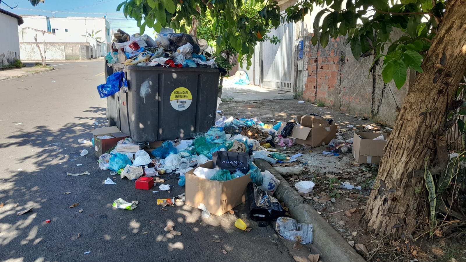 Imagem 1 da denúncia #VS-2026-59395
