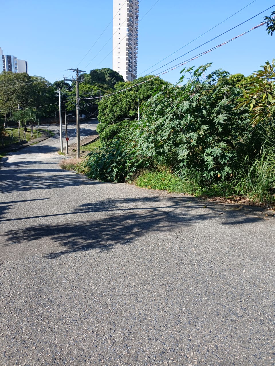 Imagem 1 da denúncia #VS-2026-59683