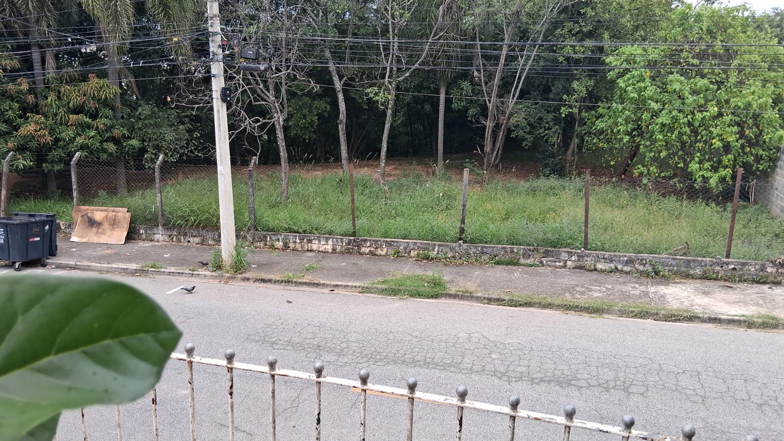 Imagem 1 da denúncia #VS-2026-59854