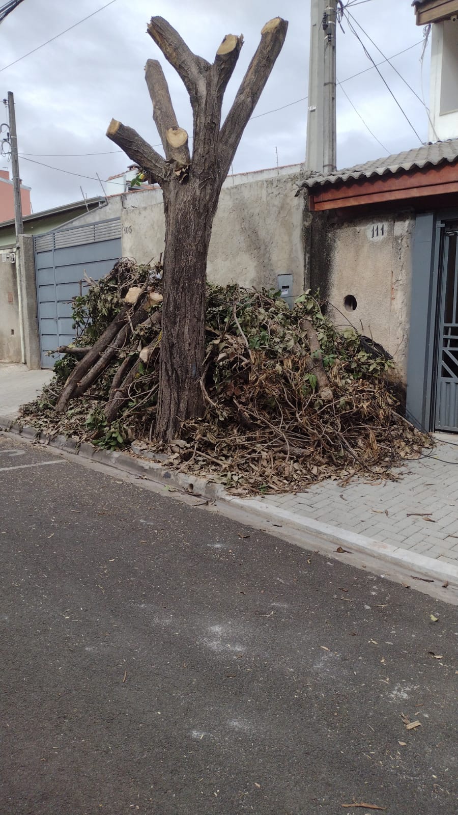 Imagem 2 da denúncia #VS-2026-59960