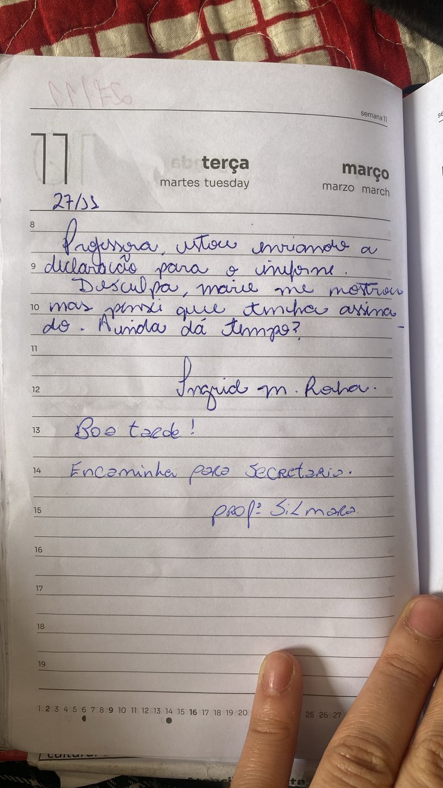 Imagem 1 da denúncia #VS-2026-60193