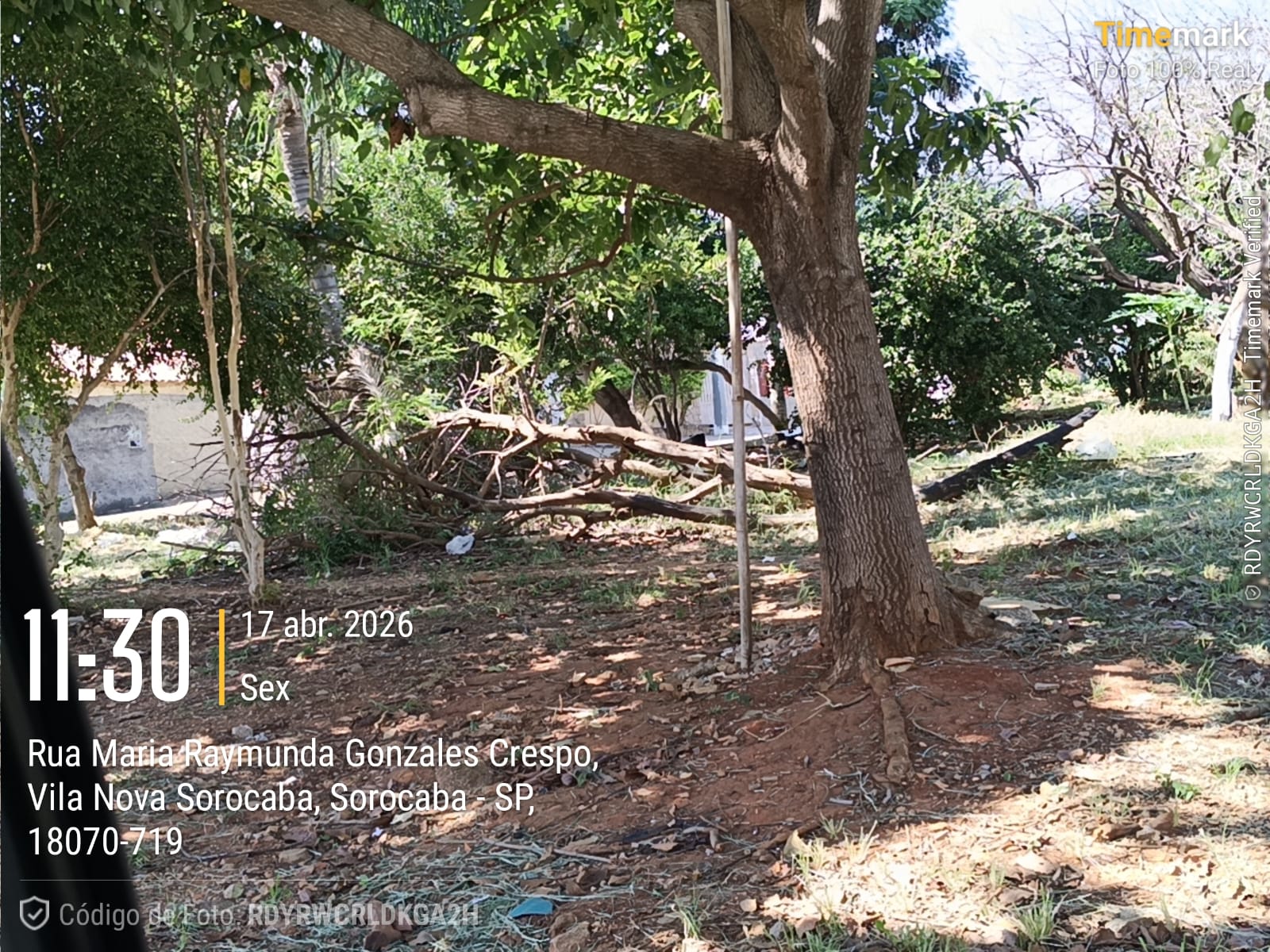 Imagem 2 da denúncia #VS-2026-61332