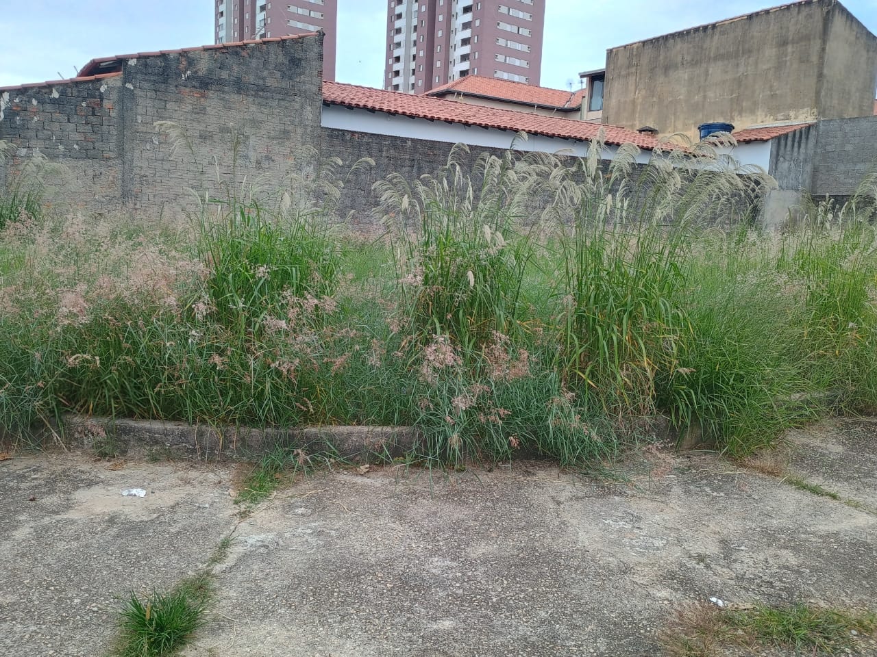 Imagem 1 da denúncia #VS-2026-61569