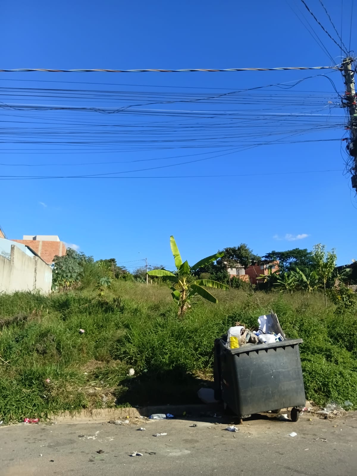 Imagem 2 da denúncia #VS-2026-61750