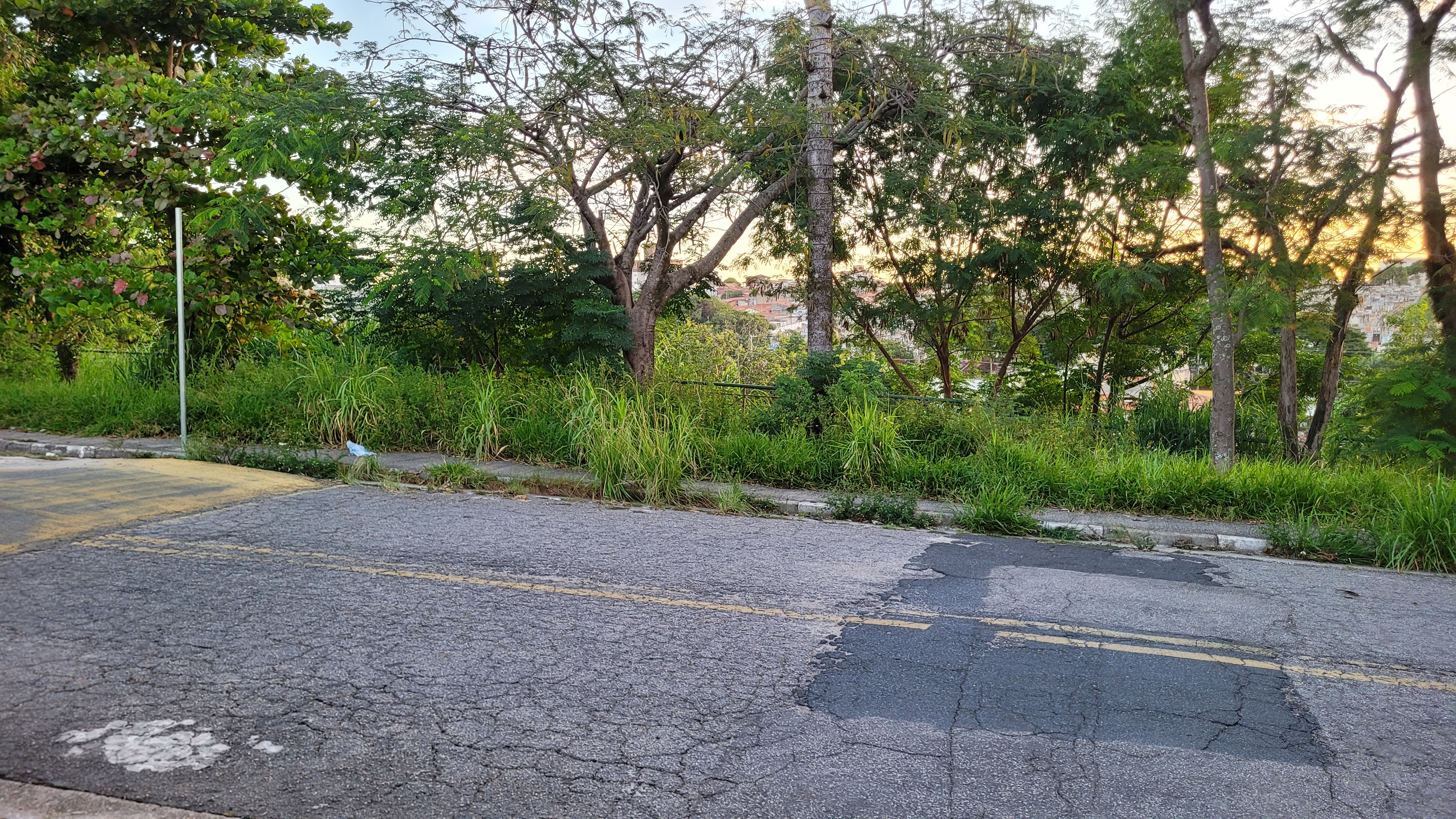 Imagem 1 da denúncia #VS-2026-61786