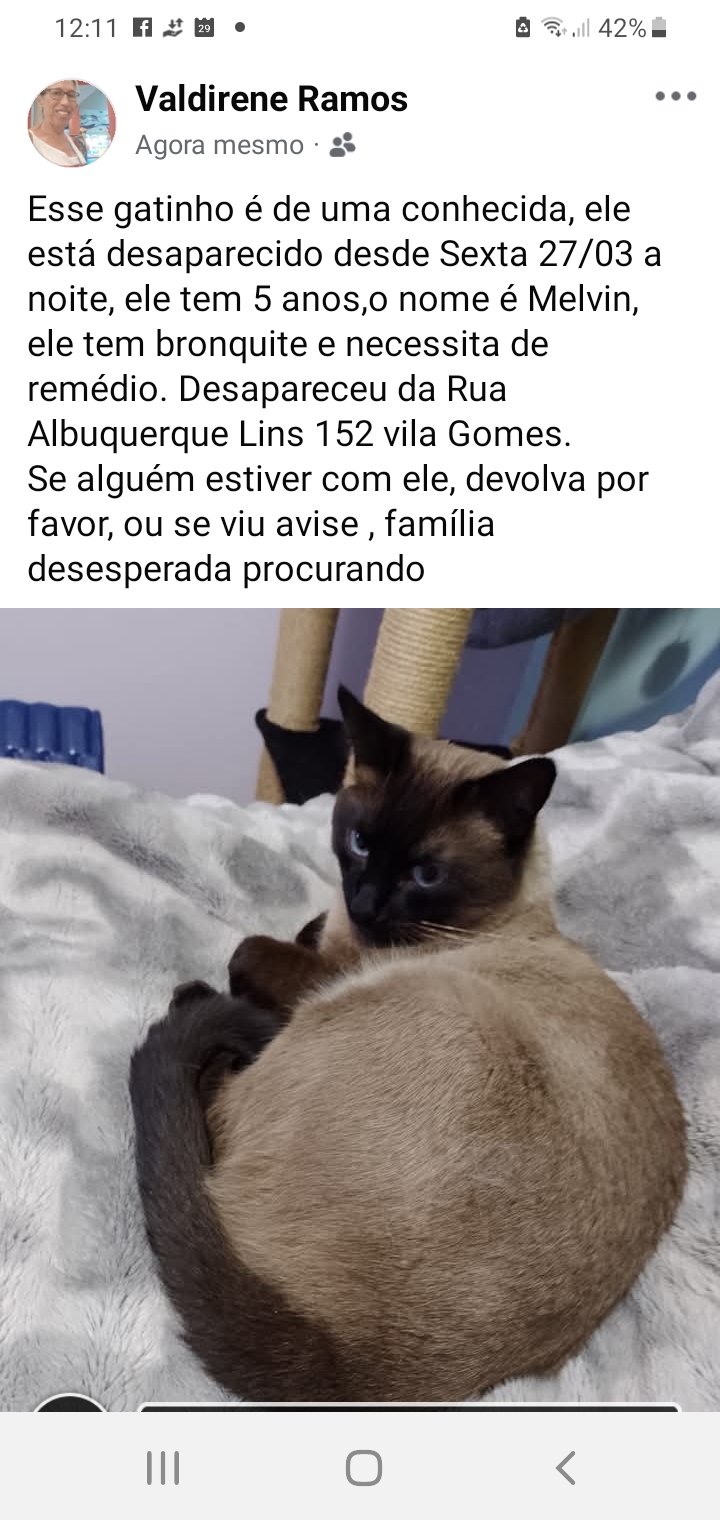 Imagem 1 da denúncia #VS-2026-61848