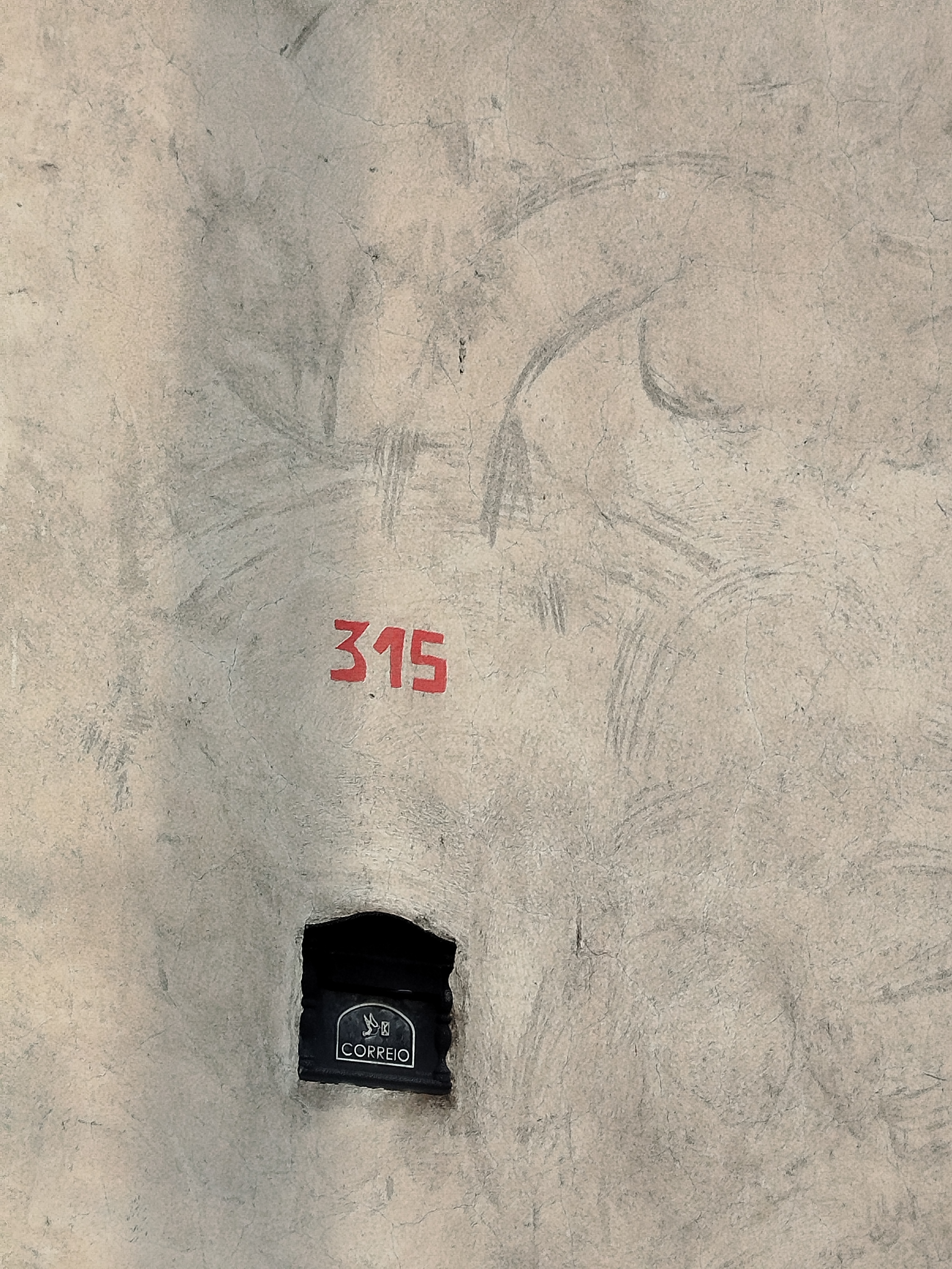 Imagem 1 da denúncia #VS-2026-62249