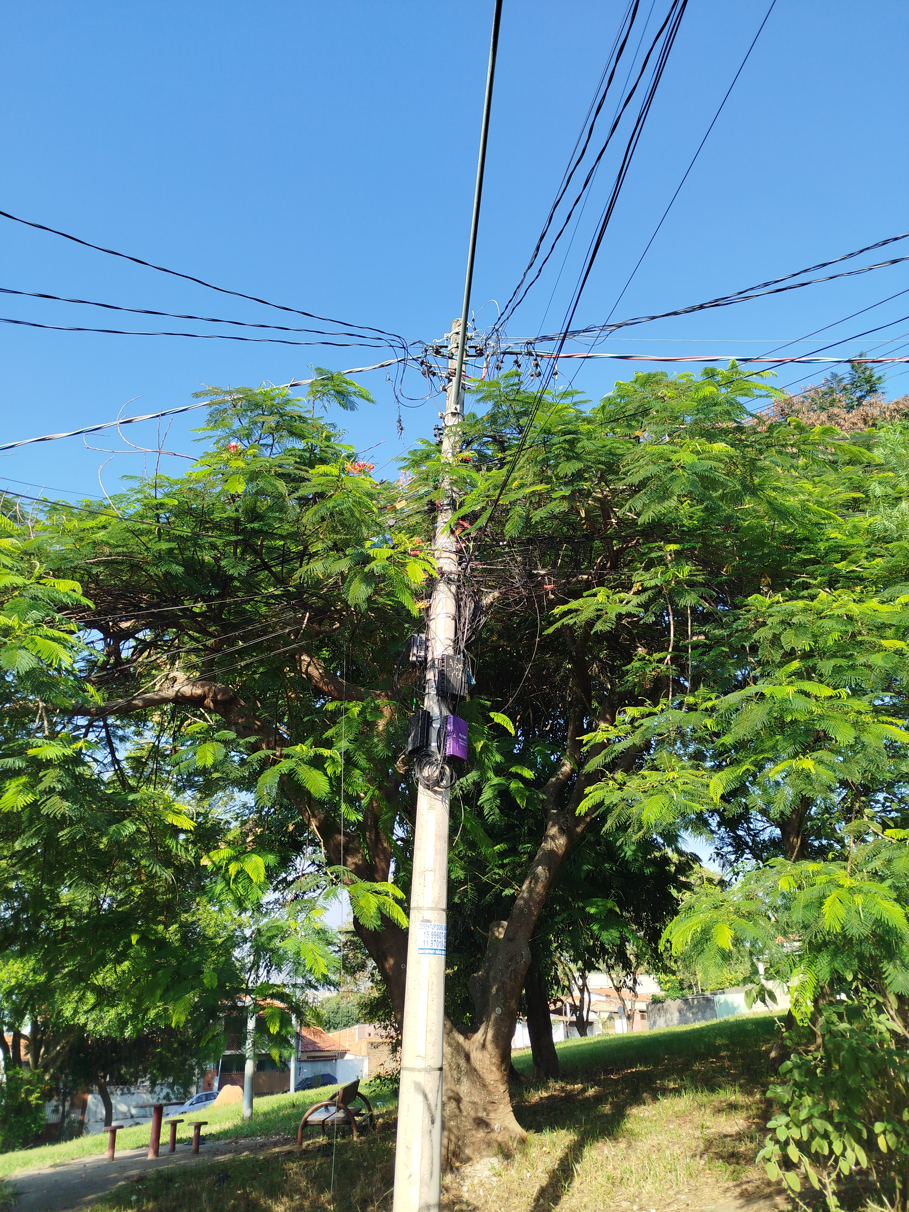 Imagem 1 da denúncia #VS-2026-62298