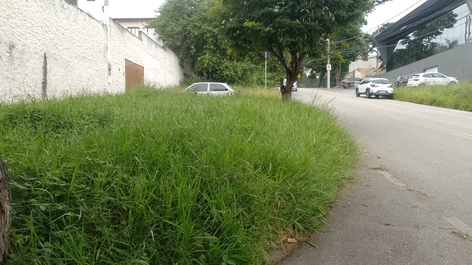 Imagem 1 da denúncia #VS-2026-62548