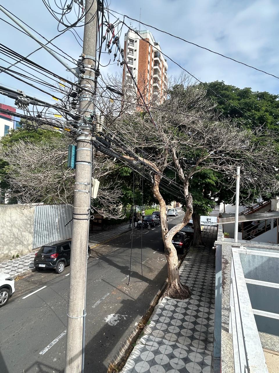 Imagem 1 da denúncia #VS-2026-62586