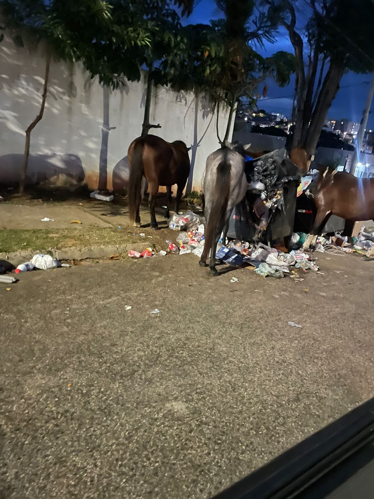 Imagem 2 da denúncia #VS-2026-62726
