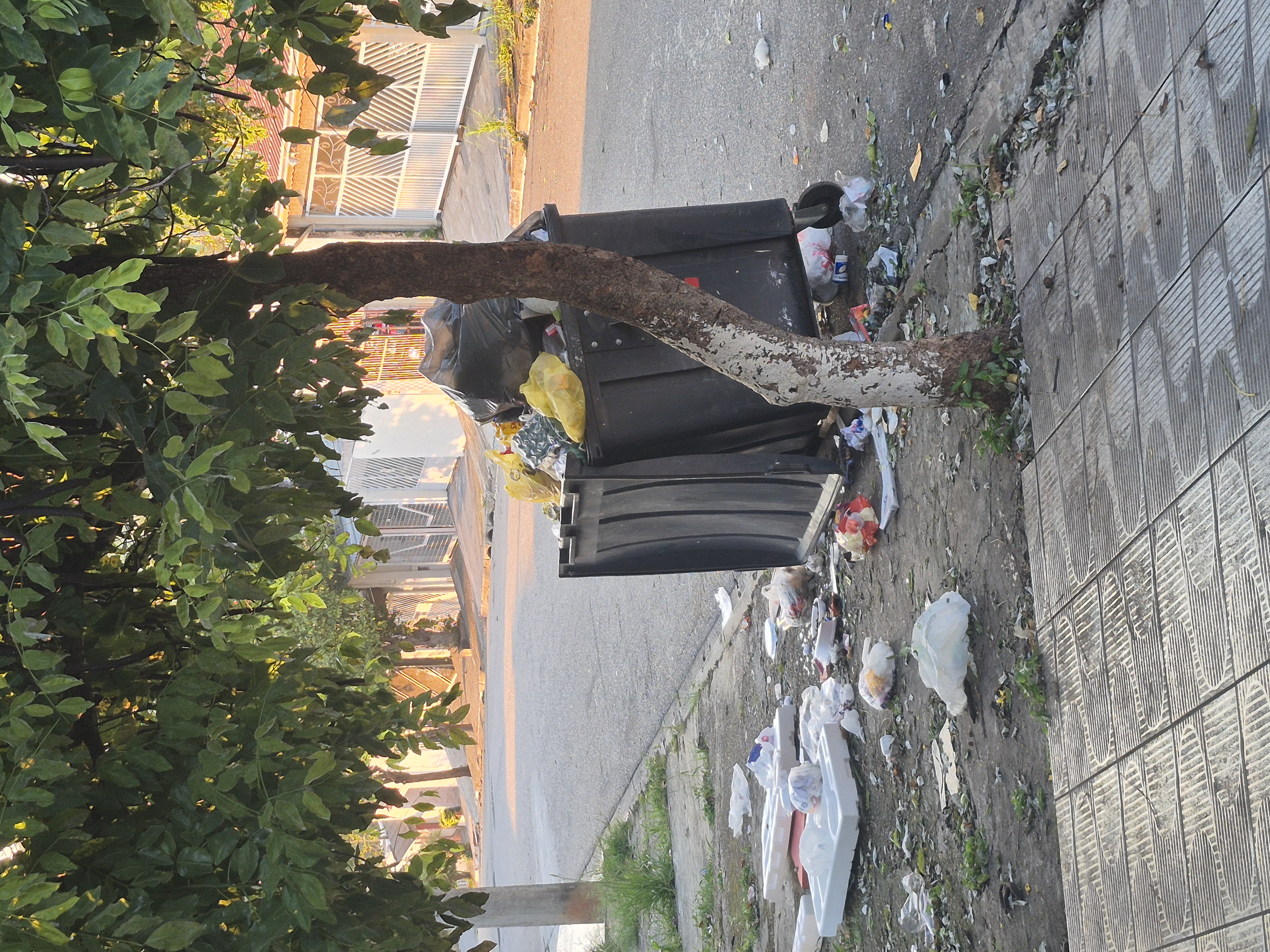 Imagem 1 da denúncia #VS-2026-63423