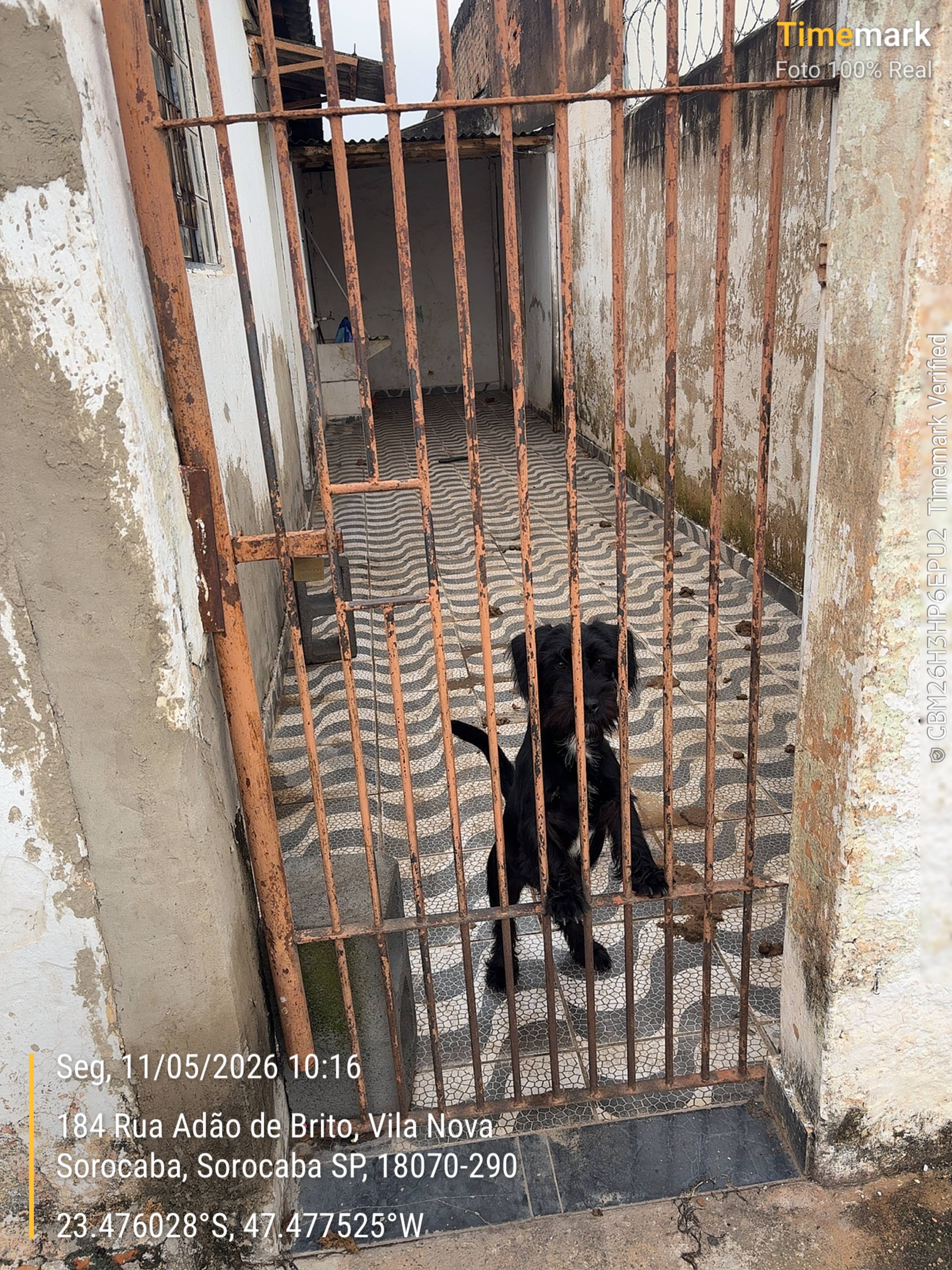 Imagem 1 da denúncia #VS-2026-64045