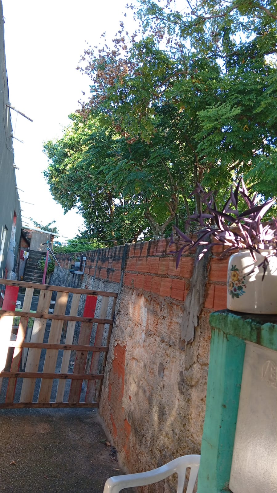Imagem 2 da denúncia #VS-2026-64173