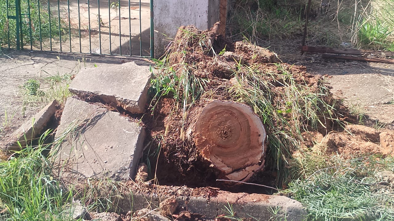 Imagem 1 da denúncia #VS-2026-64580