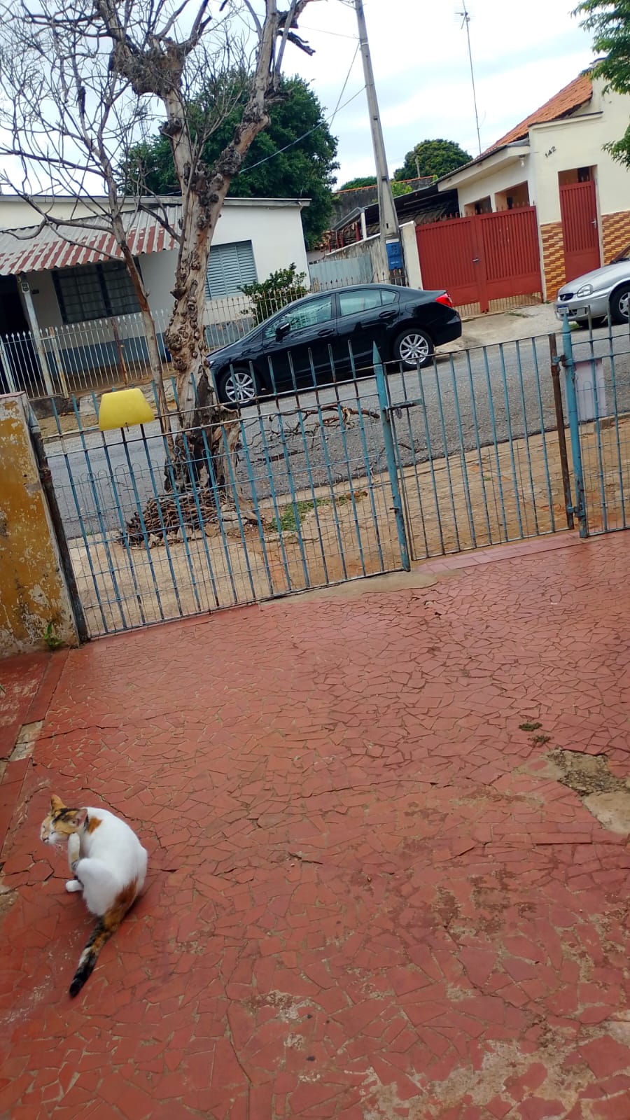 Imagem 1 da denúncia #VS-2026-64589