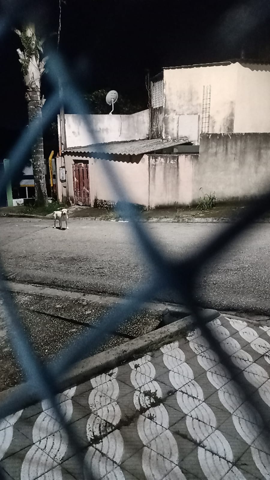 Imagem 1 da denúncia #VS-2026-64759