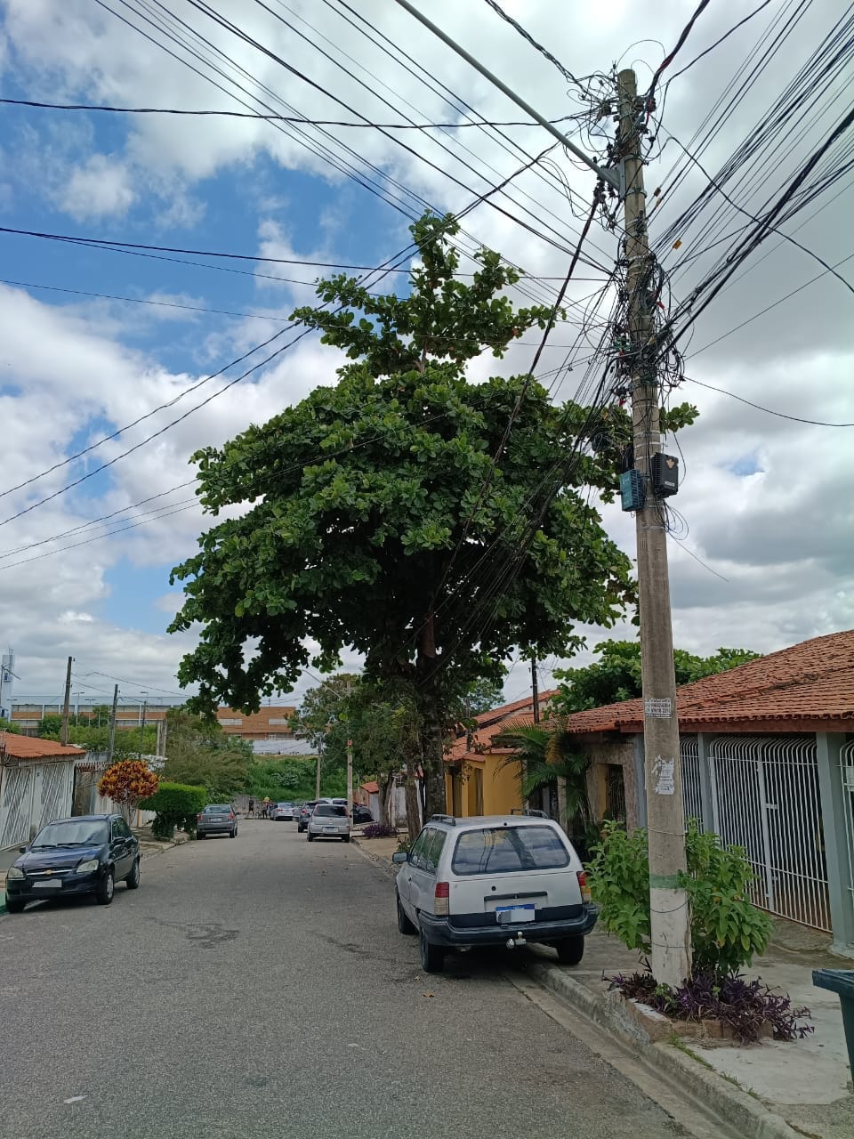 Imagem 1 da denúncia #VS-2026-64982