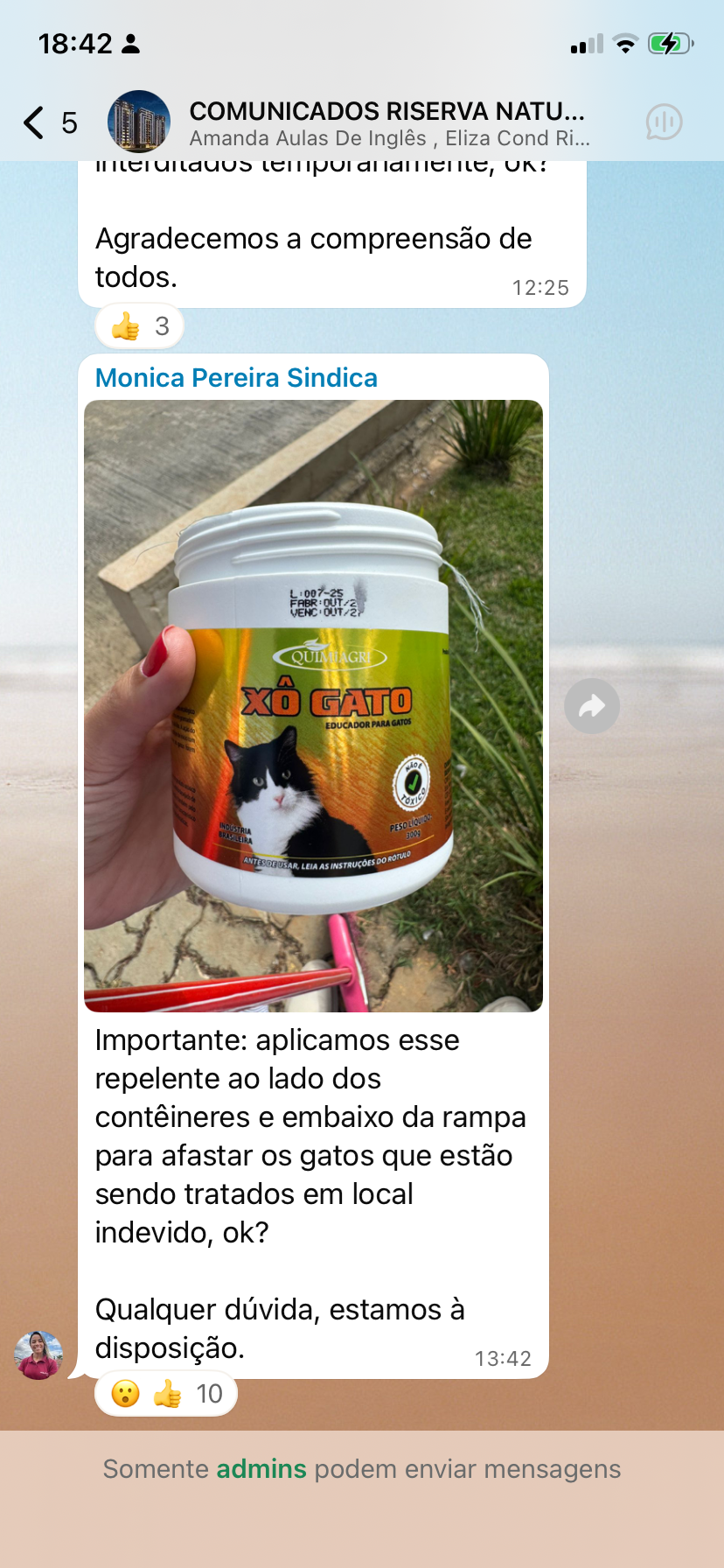 Imagem 1 da denúncia #VS-2026-65481
