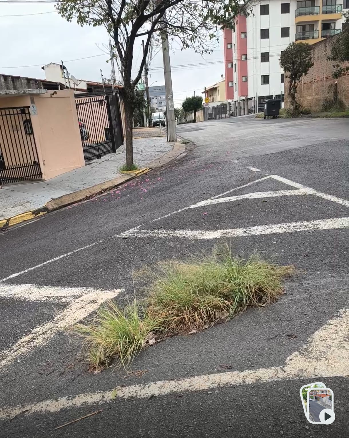 Imagem 1 da denúncia #VS-2026-65872