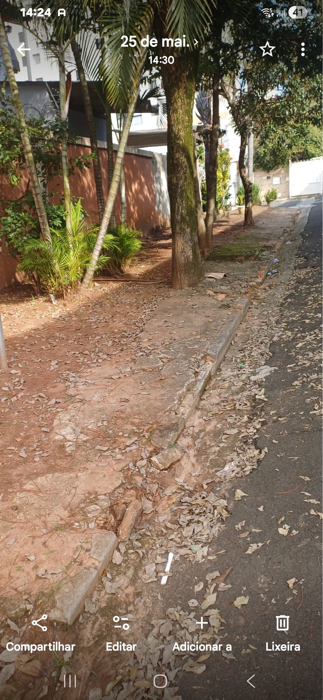 Imagem 1 da denúncia #VS-2026-66319