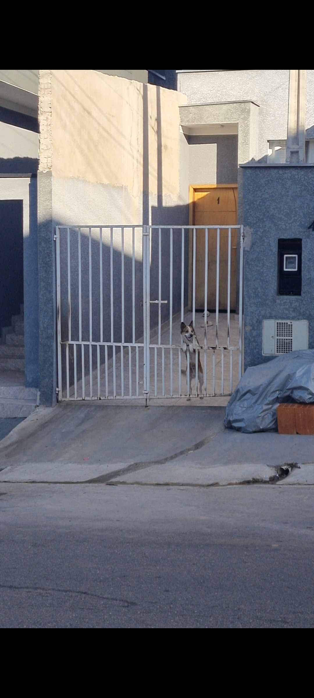 Imagem 1 da denúncia #VS-2026-66376