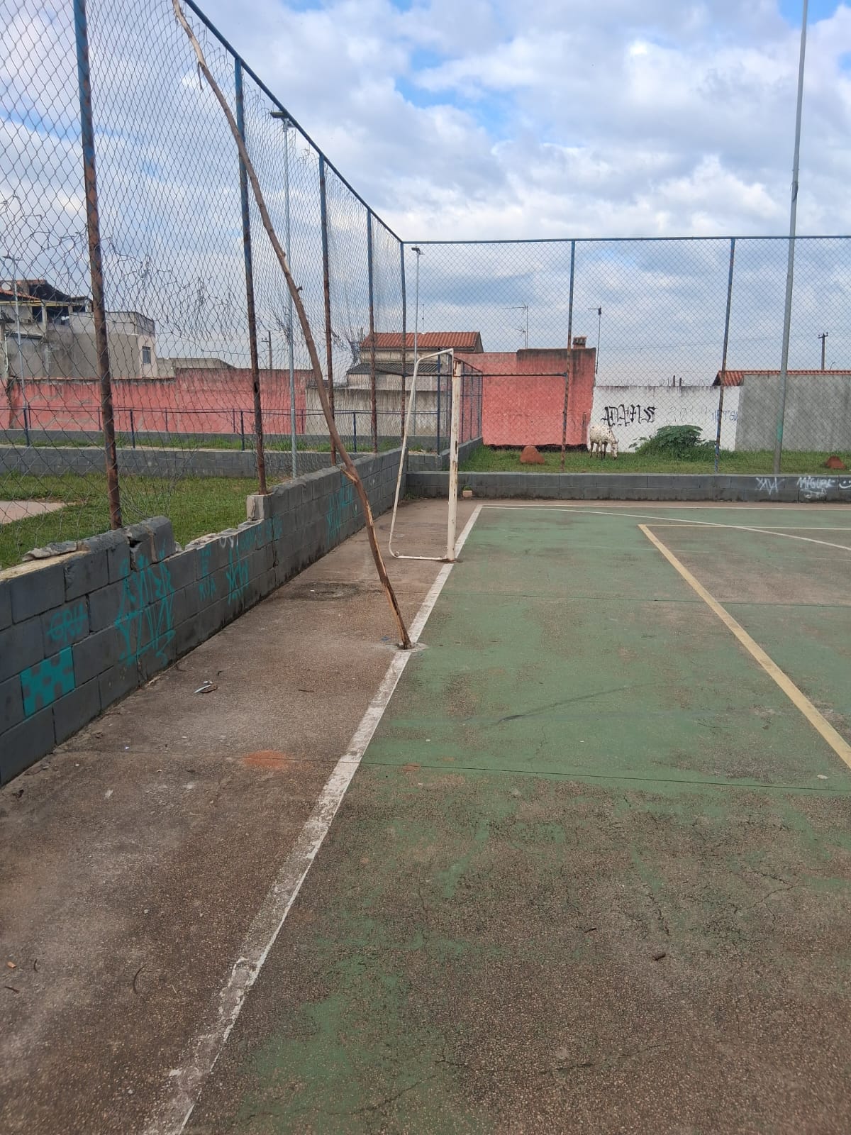 Imagem 1 da denúncia #VS-2026-66401