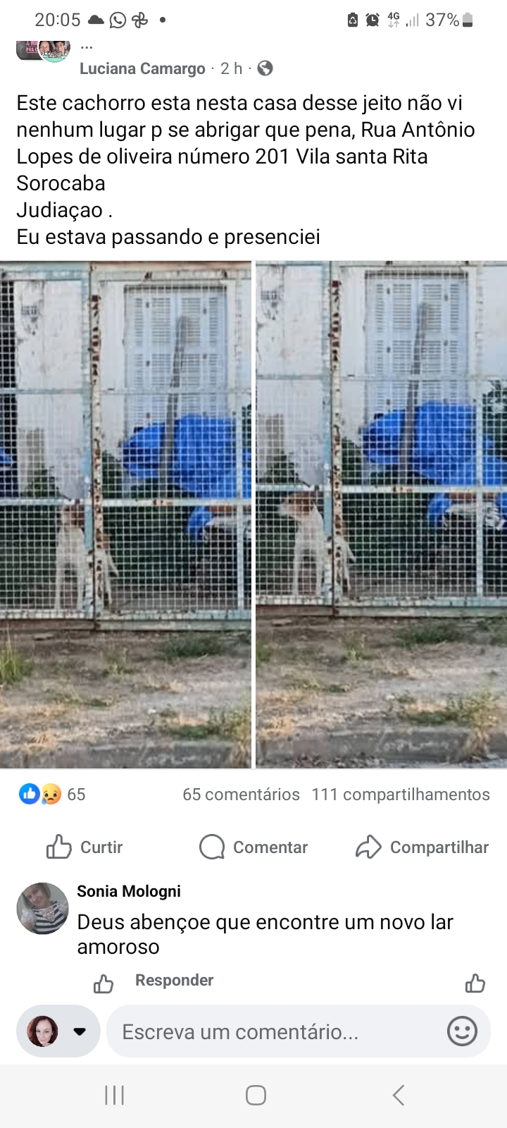 Imagem 1 da denúncia #VS-2026-66719