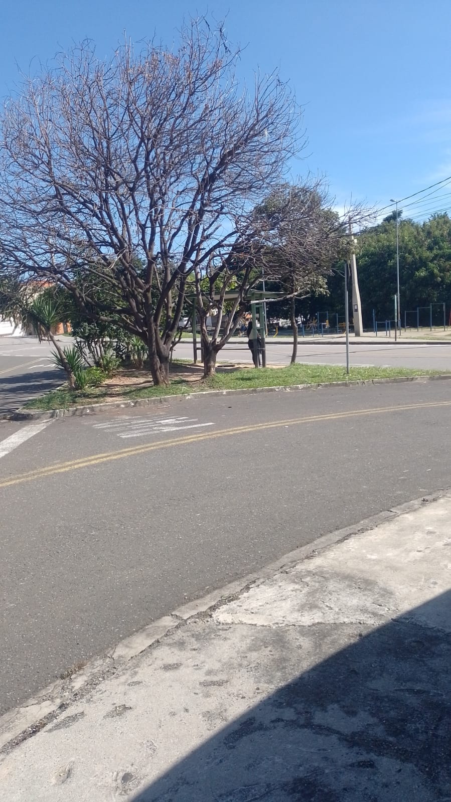 Imagem 1 da denúncia #VS-2026-66750