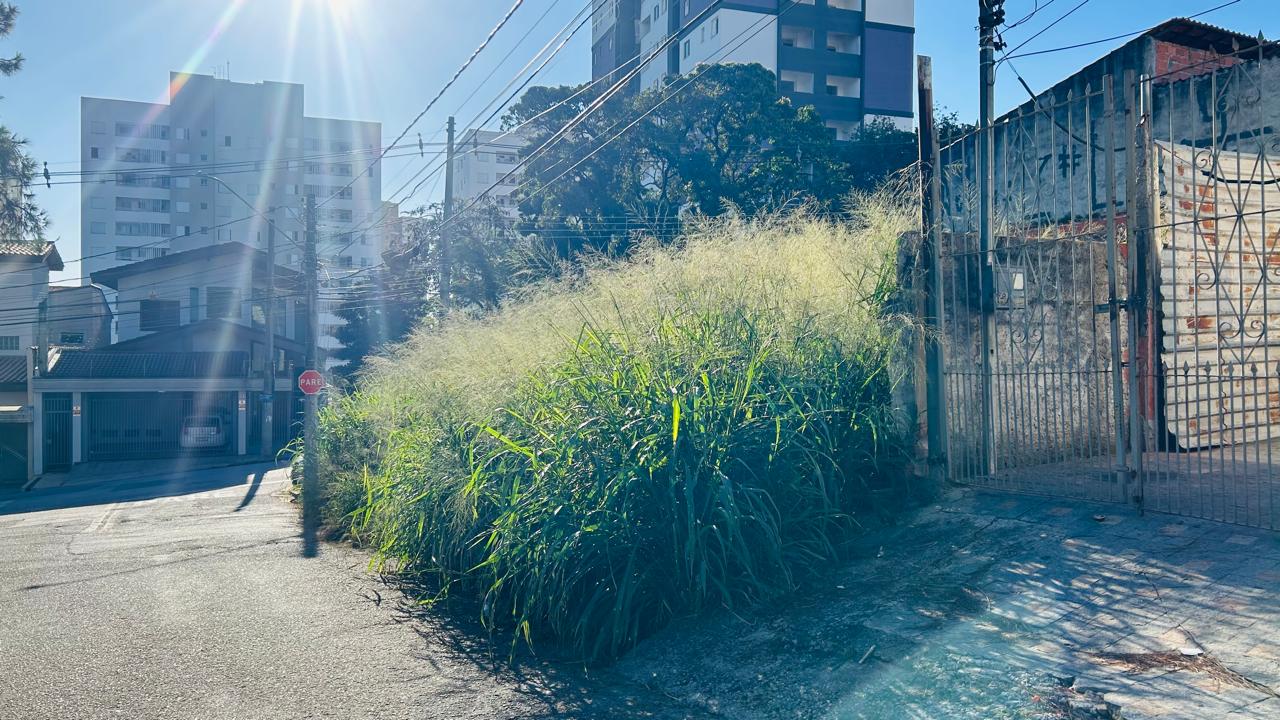 Imagem 1 da denúncia #VS-2026-67007