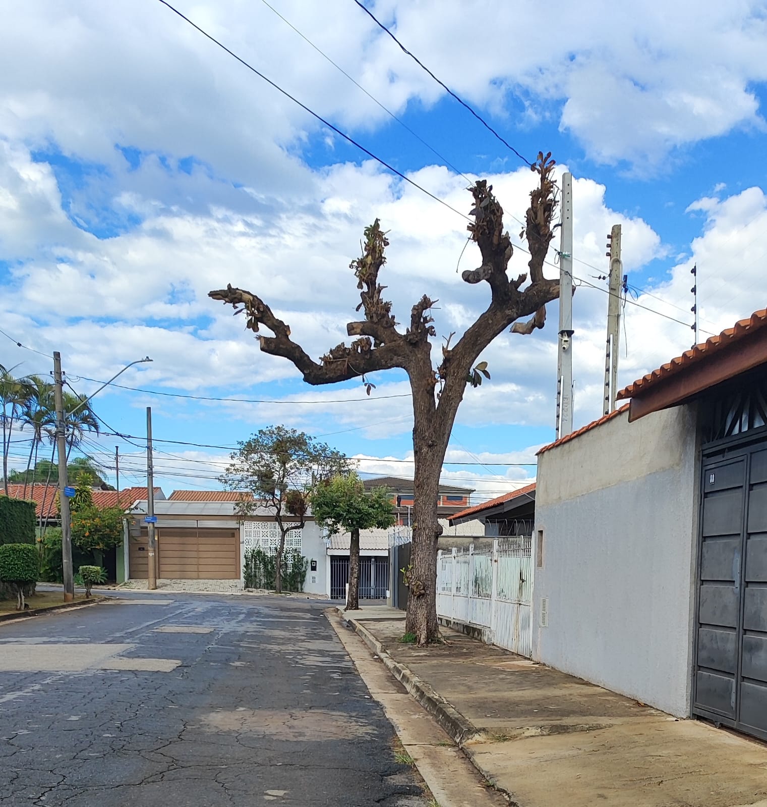Imagem 1 da denúncia #VS-2026-67223